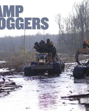 Swamp Loggers海报封面图