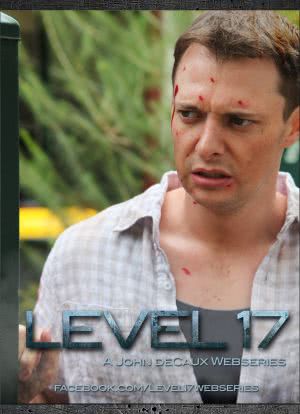 Level 17海报封面图