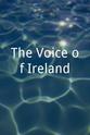 Niall Breslin The Voice of Ireland