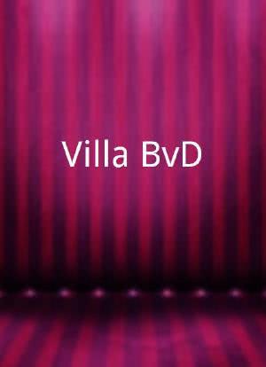 Villa BvD海报封面图