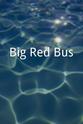 Rachel Bliss Big Red Bus