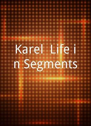 Karel: Life in Segments海报封面图
