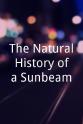 George Porter The Natural History of a Sunbeam