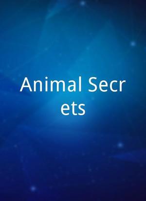 Animal Secrets海报封面图