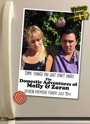 The Domestic Adventures of Molly & Zoran海报封面图