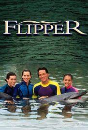 Flipper海报封面图