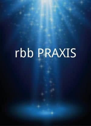 rbb PRAXIS海报封面图
