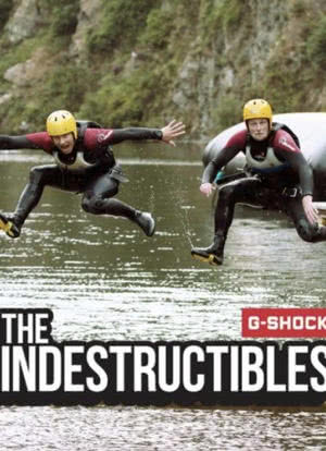 The Indestructibles海报封面图