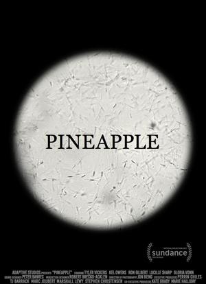 Pineapple海报封面图