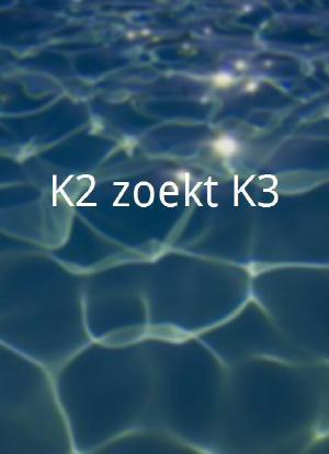 K2 zoekt K3海报封面图