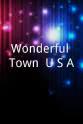 玛丽·博兰 Wonderful Town, U.S.A.