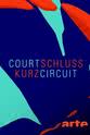 Yann Beauvais Court-circuit