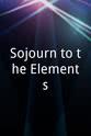 Sonny Emory Sojourn to the Elements