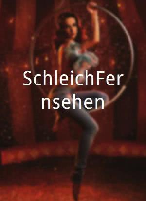 SchleichFernsehen海报封面图