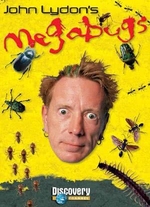 John Lydon`s Megabugs海报封面图