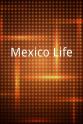 Andrew Gitomer Mexico Life
