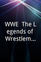 Josh Lomberger WWE: The Legends of Wrestlemania