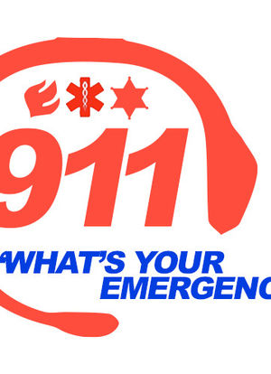 9-1-1: What's Your Emergency?海报封面图