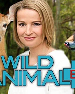 Wild Animal ER海报封面图