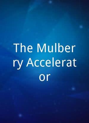 The Mulberry Accelerator海报封面图