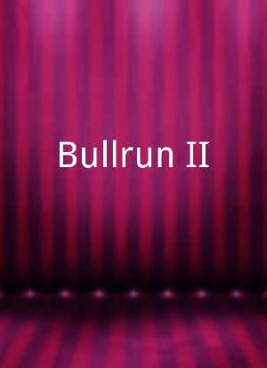 Bullrun II海报封面图