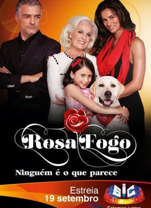 Rosa Fogo海报封面图
