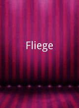 Fliege