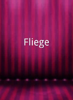 Fliege海报封面图