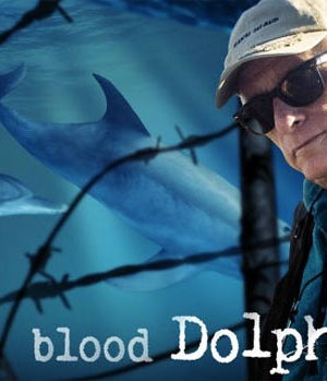Blood Dolphins海报封面图