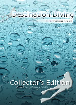 Destination Diving海报封面图
