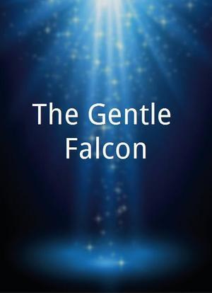 The Gentle Falcon海报封面图