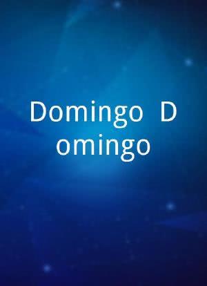 Domingo É Domingo!海报封面图