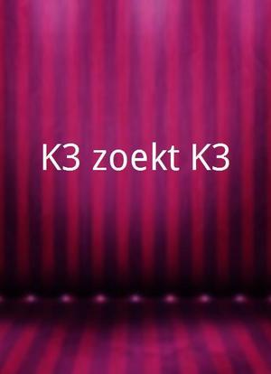 K3 zoekt K3海报封面图
