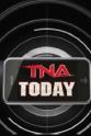 Dixie Carter TNA Today