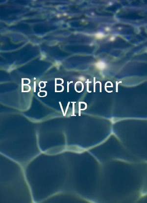 Big Brother VIP海报封面图