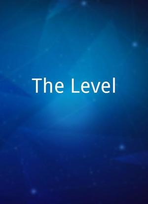 The Level海报封面图