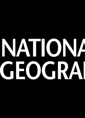 National Geographic Investigates海报封面图