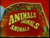 Animals, Animals, Animals