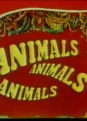 Animals, Animals, Animals海报封面图