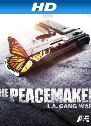 The Peacemaker海报封面图