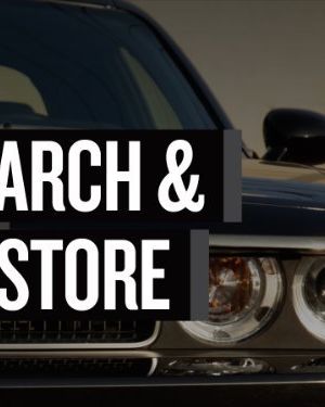 Search and Restore海报封面图