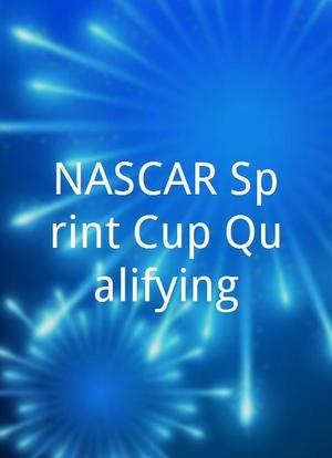 NASCAR Sprint Cup Qualifying海报封面图