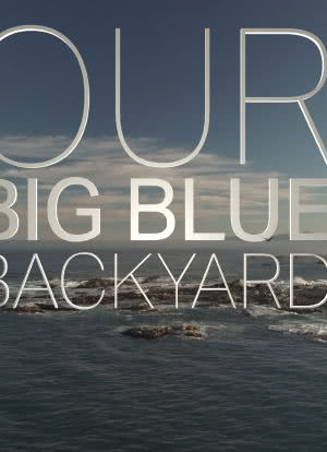 Our Big Blue Backyard海报封面图
