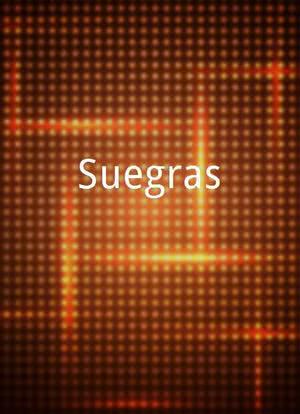 Suegras海报封面图