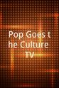 David P. Levin Pop Goes the Culture TV