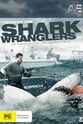 Alex Snow Shark Wranglers
