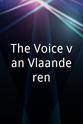 Sean D'Hondt The Voice van Vlaanderen