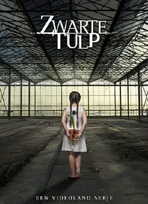 Zwarte Tulp海报封面图