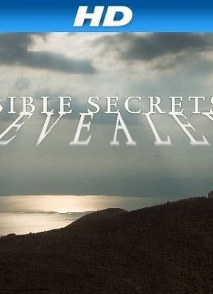 Bible Secrets Revealed海报封面图
