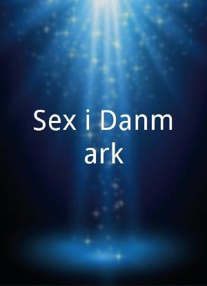 Sex i Danmark海报封面图